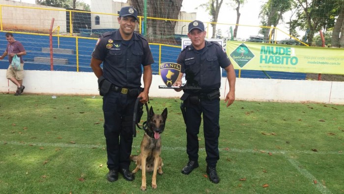 Canil da GCM de Suzano é vencedor em torneio de cães