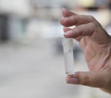 Suzano intensifica ações de combate à dengue, zika e chikungunya