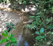 Secretaria de Meio Ambiente realiza ações de preservação do rio Balainho
