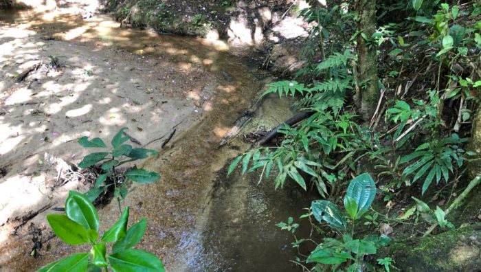 Secretaria de Meio Ambiente realiza ações de preservação do rio Balainho
