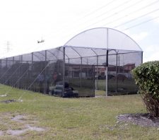 Parque Max Feffer recebe viveiro de plantas e fortalece ações ambientais