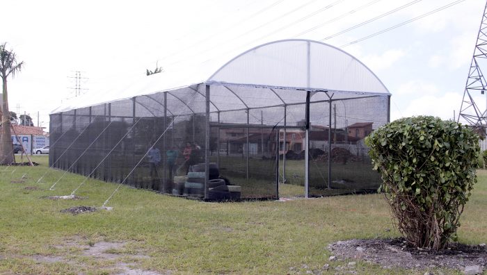 Parque Max Feffer recebe viveiro de plantas e fortalece ações ambientais
