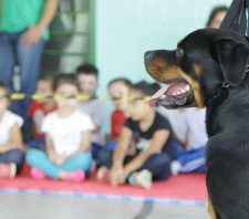 Canil da GCM de Suzano dá início a apresentações em escolas