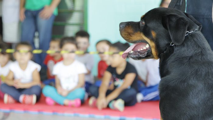 Canil da GCM de Suzano dá início a apresentações em escolas