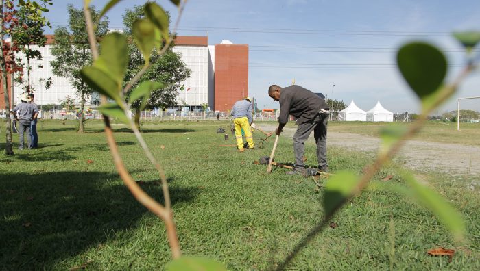 Prefeitura de Suzano realiza plantio de mudas de árvores em vários pontos da cidade