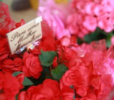 Procon de Suzano verifica preços em floriculturas e orienta comerciantes