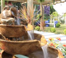 Suzano terá atividades em junho para comemorar Dia do Meio Ambiente