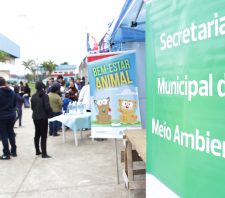 Eventos reúnem 8 mil pessoas no Parque Max Feffer