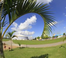 Parque Max Feffer terá atrações do Dia Nacional do Samba neste domingo