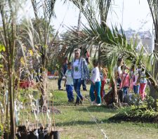 Viveiro Municipal realiza novas visitas monitoradas