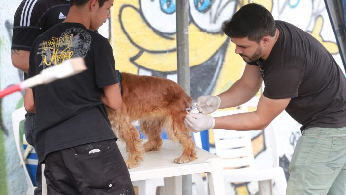 Campanha de Vacinação Antirrábica tem início e meta é imunizar 33 mil animais