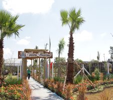 Revitalização de área no Jardim Cacique ganha apoio do Viveiro Municipal