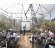 Curso de Jardinagem na Prática tem início no Viveiro Municipal