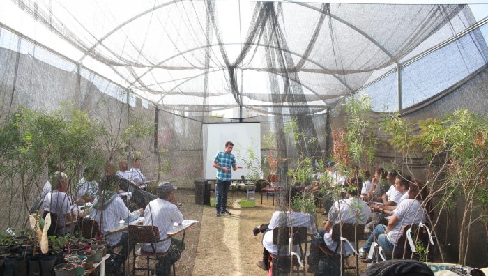 Curso de Jardinagem na Prática tem início no Viveiro Municipal