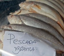 Vigilância Sanitária alerta sobre distribuidoras irregulares de pescados