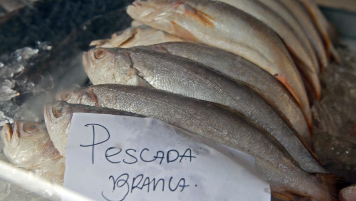Vigilância Sanitária alerta sobre distribuidoras irregulares de pescados