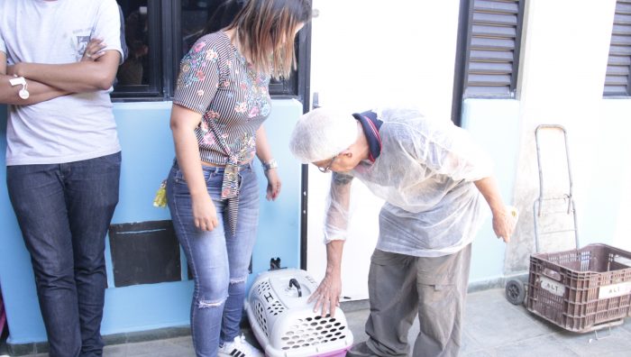Mais de 140 animais são castrados em campanha da Prefeitura de Suzano