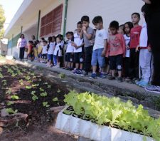 Horta Pedagógica é realizada em escolas municipais
