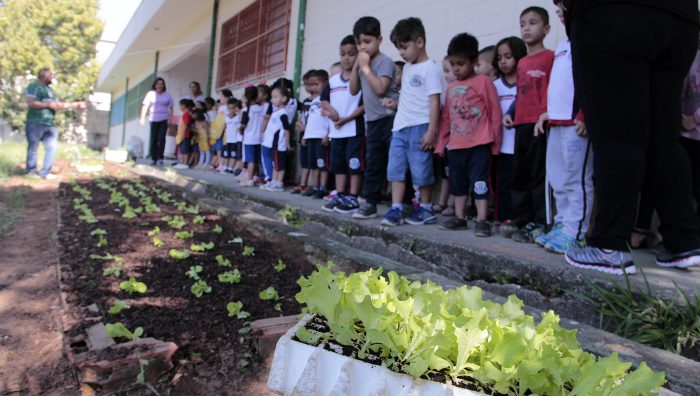 Horta Pedagógica é realizada em escolas municipais