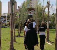 Saspe e Viveiro Municipal abrem cem vagas para o workshop Cultivo de Orquídeas