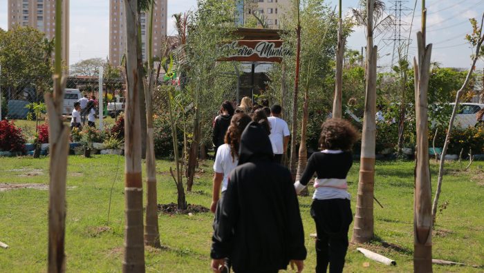 Saspe e Viveiro Municipal abrem cem vagas para o workshop Cultivo de Orquídeas