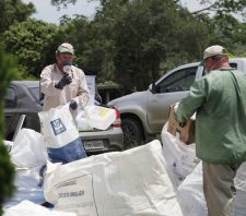 Posto de coleta em Palmeiras recolhe 4,7 mil embalagens de agrotóxicos