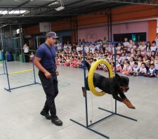 Cães da GCM se apresentam para 1,8 mil pessoas no mês das crianças