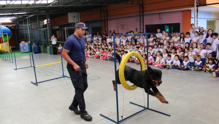 Cães da GCM se apresentam para 1,8 mil pessoas no mês das crianças