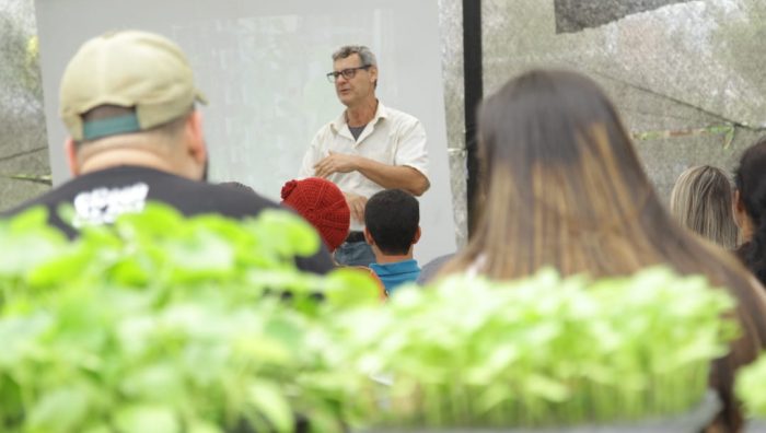 Viveiro Municipal realiza workshop sobre horta vertical