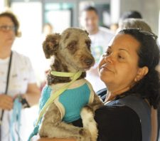 Campanha realiza castração de mais de 150 animais em Suzano