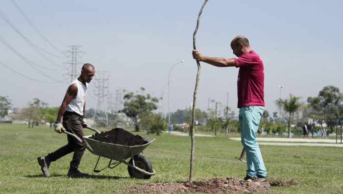 Parque Max Feffer recebe plantio de árvores durante todo o mês de outubro