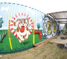 Suzano terá espaço público destinado a treinamento de cães a partir de abril