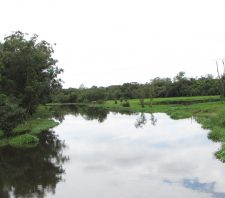 Desassoreamento do rio Tietê em Suzano terá início ainda em março