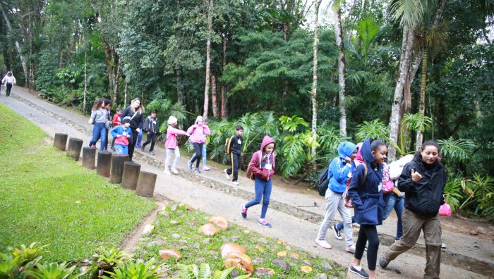 Parceria garante Biblioteca Comunitária e ampliação de programa de educação ambiental