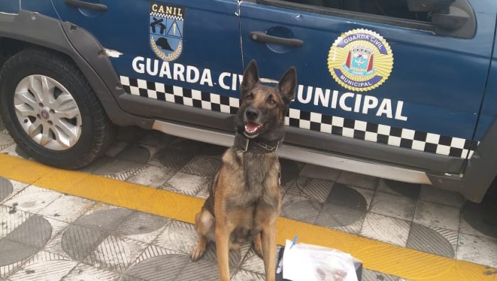GCM prende acusado de tráfico foragido da Justiça