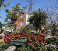Viveiro Municipal amplia jardim e cria espaço para cultivo de mudas de hortaliças e de flores