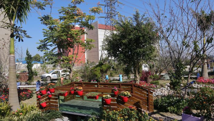 Viveiro Municipal amplia jardim e cria espaço para cultivo de mudas de hortaliças e de flores