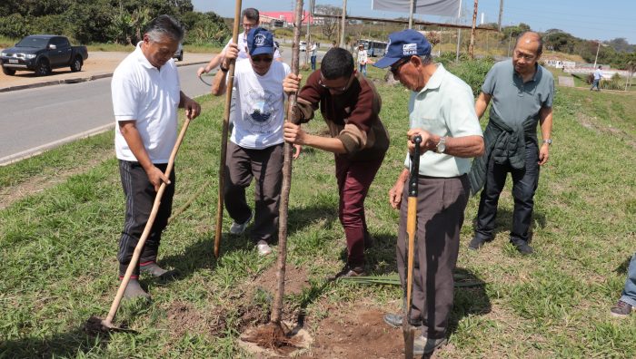 Praça Sol Nascente e Marginal do Una recebem plantio de 200 cerejeiras