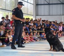 Cães da GCM de Suzano se apresentam para 500 estudantes de Palmeiras