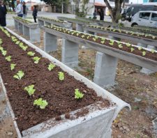 Prefeito inaugura ‘Horta Comunitária Elevada’ no Parque Maria Helena