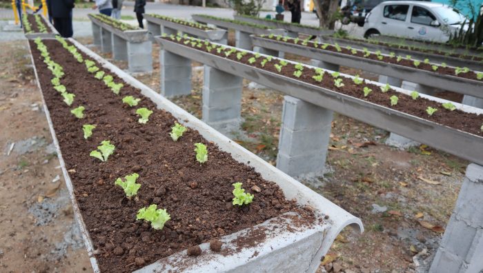 Prefeito inaugura ‘Horta Comunitária Elevada’ no Parque Maria Helena