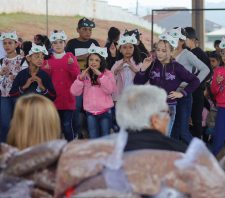 Escola cria projeto para doar ração a animais da comunidade local