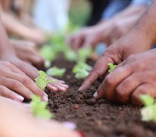 Horta Comunitária é inaugurada no Boa Vista