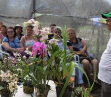 Viveiro Municipal Tomoe Uemura abre inscrições para três cursos