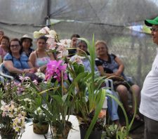 Viveiro Municipal abre inscrições para duas novas capacitações