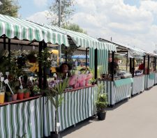 Feira de Artesanato no Baruel começa neste domingo