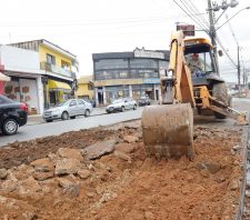 Revitalização de canteiro central da avenida Jaguari entra na última fase