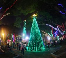 Natal das Flores tem início em Suzano