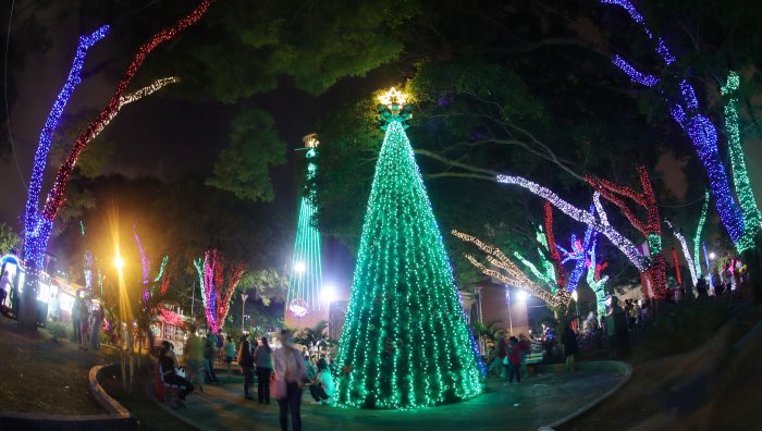 Natal das Flores tem início em Suzano