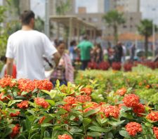 Viveiro Municipal realizará vivência de meditação no próximo domingo